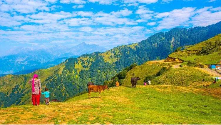 Solan